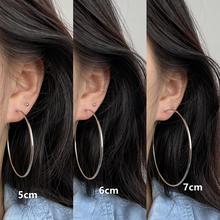 2025New Trendy Summer Silver Large Hoop Black Thin Hoop European and American Style Elegant Gold Versatile Earrings