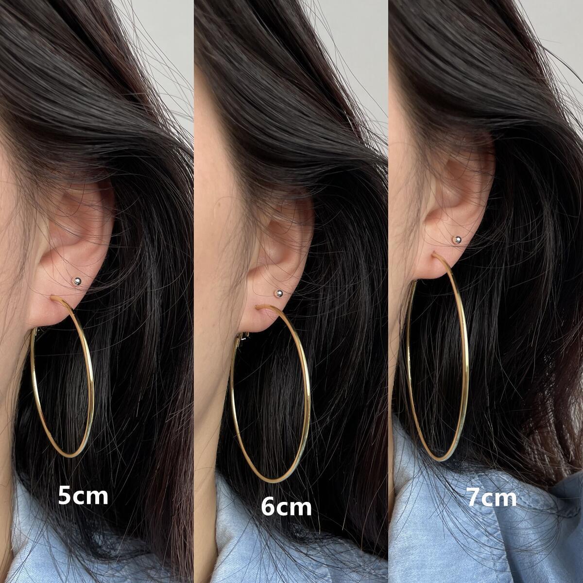 2025New Trendy Summer Silver Large Hoop Black Thin Hoop European and American Style Elegant Gold Versatile Earrings